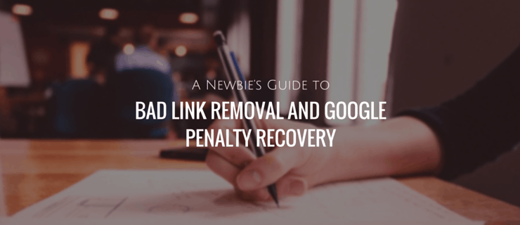 A Newbie’s Guide to Bad Link Removal - Google Penalty Recovery