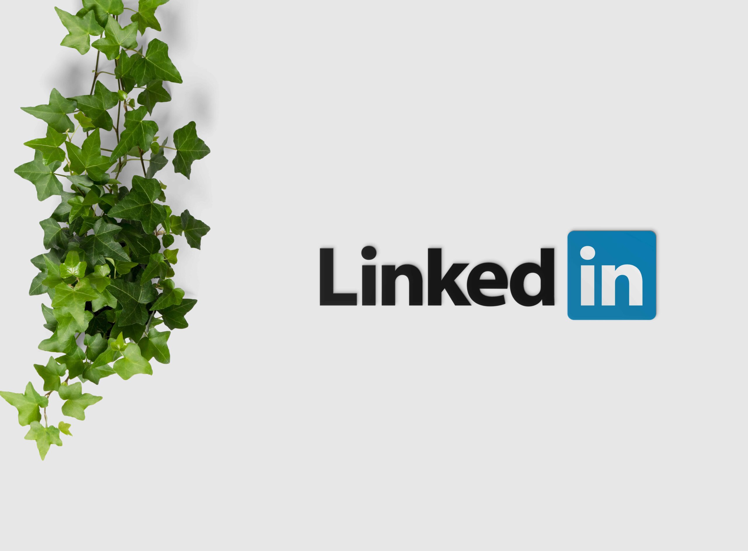 LinkedIn Optimization Tips