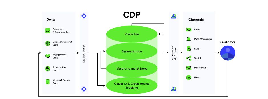cdp andcrm