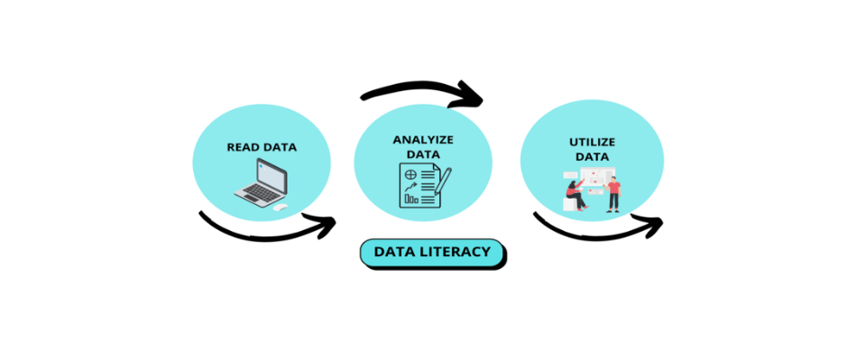 data literacy 